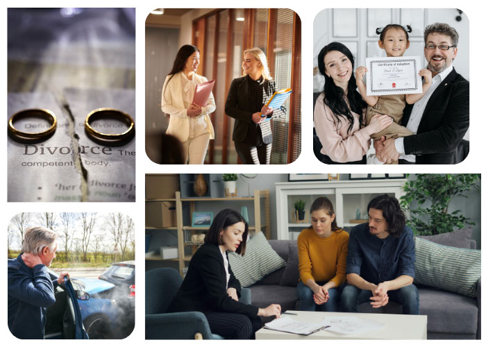 Tessmer Law Services collage