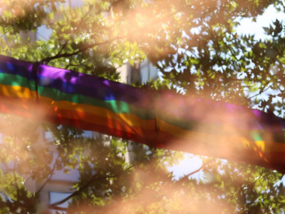 Pride Month Tree - Adoption Resize